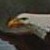 :iconskyzim:
