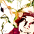 :iconslackershmo: