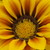 :iconslada-photography: