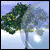 :iconslaer: