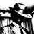 :iconslaifer10: