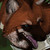 :iconslash0x: