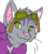:iconslatecatplz: