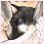 :iconsleepdebtfairy: