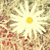 :iconsleeping-alone: