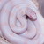 :iconsleeping-briar-rose: