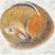 :iconsleepingchipmunk: