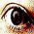 :iconsleepless-virus: