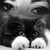 :iconsleeplesscat:
