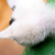 :iconsleeplessending: