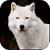 :iconsleepvision: