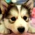:iconsleepychao: