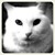 :iconsleepychillyicebat: