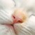 :iconsleepydani: