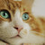 :iconsleepyhollow90: