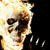 :iconsleonh: