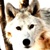 :iconslevac: