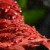 :iconslipknot-islove7: