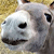 :iconslipperydonkey: