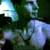 :iconslither76: