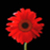 :iconslj:
