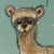 :iconslmhorses: