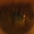 :iconslode: