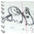 :iconsloopygoop: