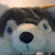:iconslopppppyjoe13: