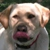 :iconslothgal: