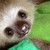 :iconslothscribbles: