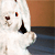 :iconslut-draco: