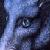 :iconSlverDragonSkies: