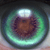 :iconslwebdev: