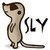 :iconsly-meerkat: