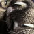 :iconslyone89: