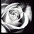 :iconslythe-serpent: