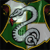 :iconslytherincore: