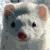 :iconslyweasel123: