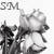 :iconsm-etrical: