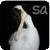 :iconsm-photography:
