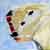 :iconsmacfoo: