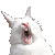:iconsmackaysmith: