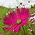 :iconsmall-fly: