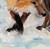 :iconsmall-fox: