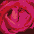 :iconsmall-stock: