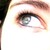 :iconsmallbuterfly:
