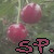 :iconsmallphotographer: