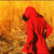 :iconsmalltownphotos: