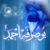 :iconsmart16: